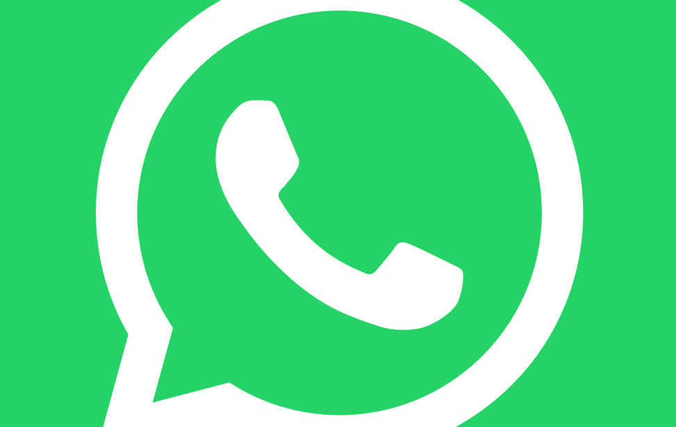 WhatsApp行销机器人